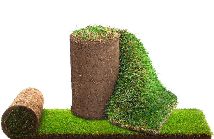 Устройство газона Устройство газона